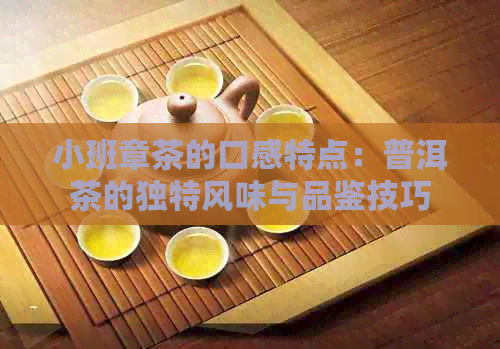 小班章茶的口感特点：普洱茶的独特风味与品鉴技巧