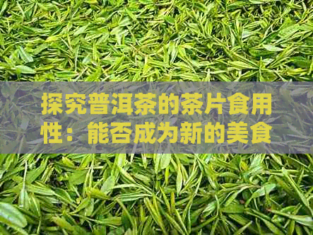 探究普洱茶的茶片食用性：能否成为新的美食体验？