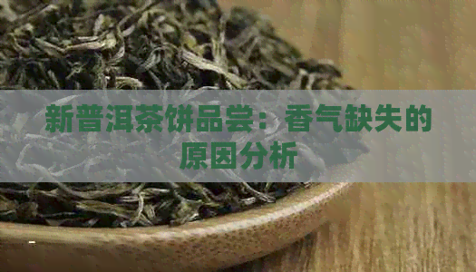 新普洱茶饼品尝：香气缺失的原因分析