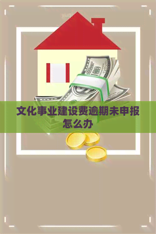 文化事业建设费逾期未申报怎么办