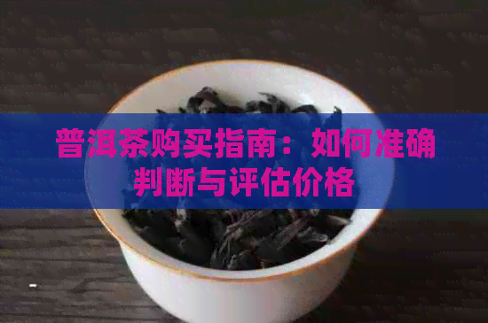 普洱茶购买指南：如何准确判断与评估价格