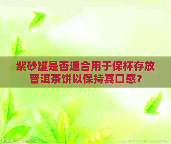 紫砂罐是否适合用于保杯存放普洱茶饼以保持其口感？