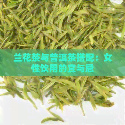 兰花茶与普洱茶搭配：女性饮用的宜与忌