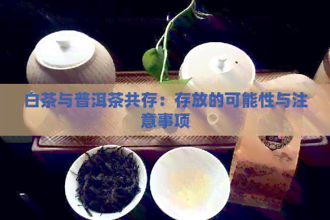 白茶与普洱茶共存：存放的可能性与注意事项