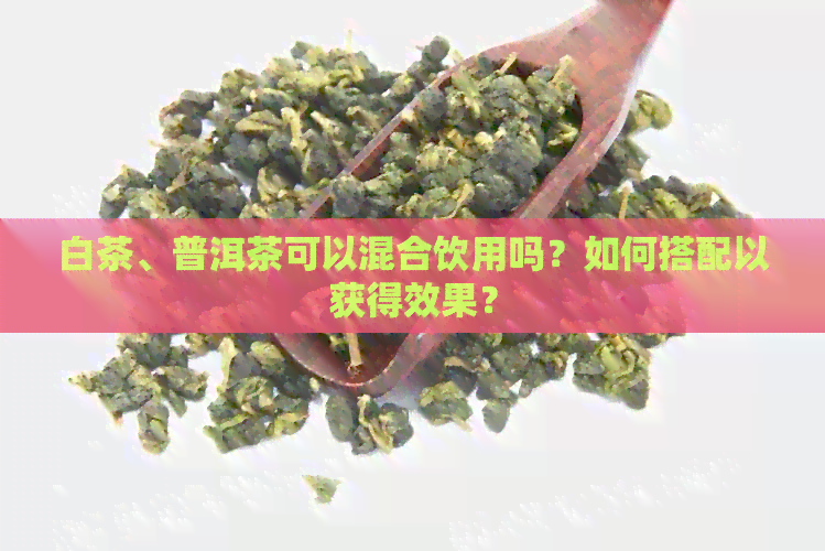 白茶、普洱茶可以混合饮用吗？如何搭配以获得效果？