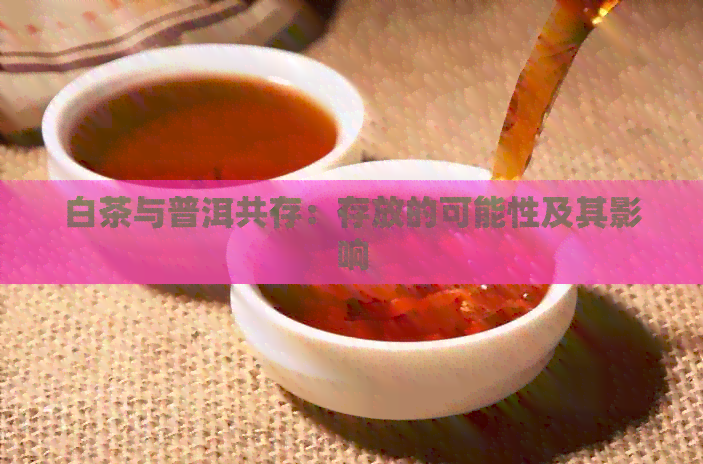 白茶与普洱共存：存放的可能性及其影响