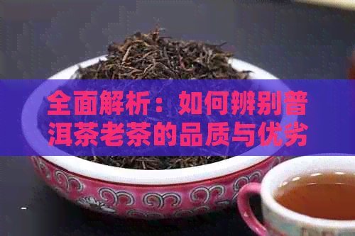 全面解析：如何辨别普洱茶老茶的品质与优劣？