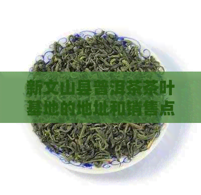 新文山县普洱茶茶叶基地的地址和销售点在哪里？