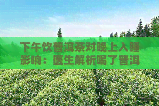 下午饮普洱茶对晚上入睡影响：医生解析喝了普洱茶后失眠的原因与解决办法