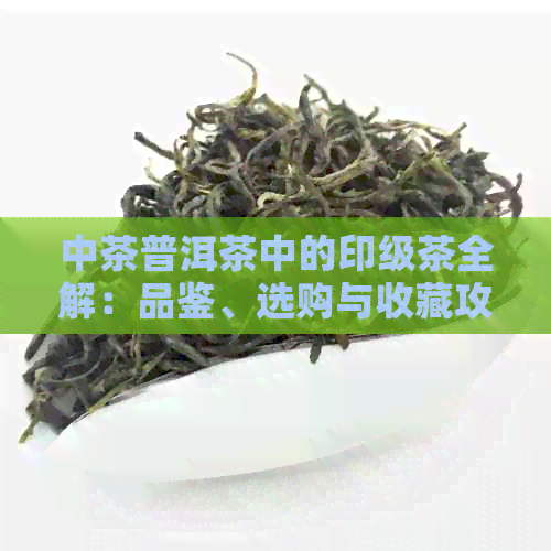 中茶普洱茶中的印级茶全解：品鉴、选购与收藏攻略