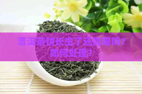 普洱茶饼长虫了还能喝吗？如何处理？