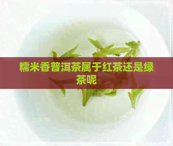 糯米香普洱茶属于红茶还是绿茶呢