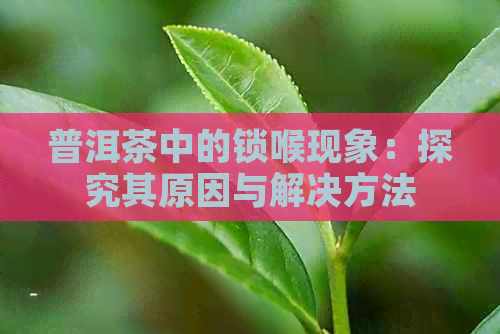 普洱茶中的锁喉现象：探究其原因与解决方法