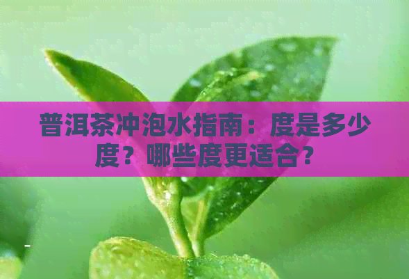 普洱茶冲泡水指南：度是多少度？哪些度更适合？