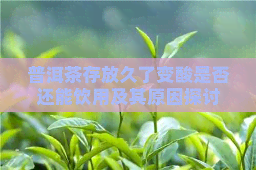 普洱茶存放久了变酸是否还能饮用及其原因探讨