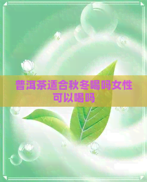 普洱茶适合秋冬喝吗女性可以喝吗