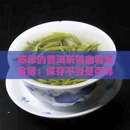 陈年的普洱茶黄曲霉素含量：保存不当是否导致？