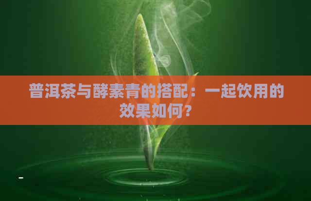 普洱茶与酵素青的搭配：一起饮用的效果如何？