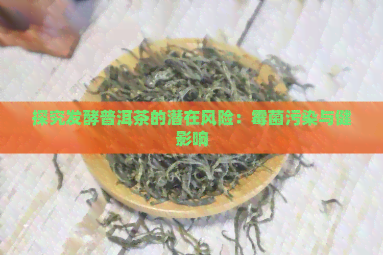 探究发酵普洱茶的潜在风险：霉菌污染与健影响