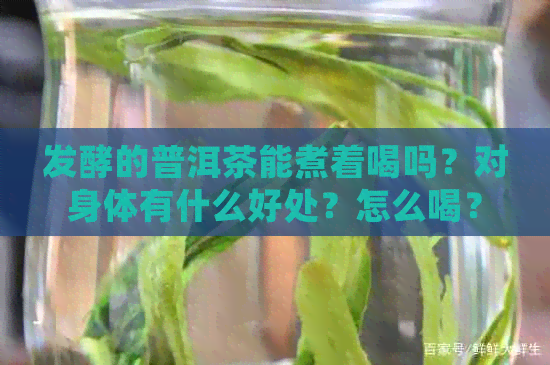 发酵的普洱茶能煮着喝吗？对身体有什么好处？怎么喝？有吗？