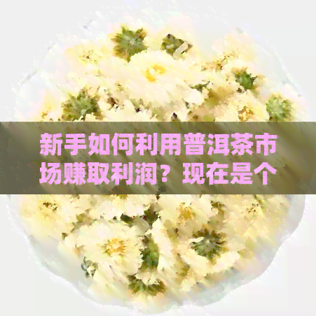 新手如何利用普洱茶市场赚取利润？现在是个好时机吗？