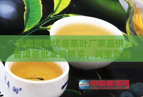 云南昆明优质茶叶厂家直供，普洱茶批发价格实，阿里直销渠道