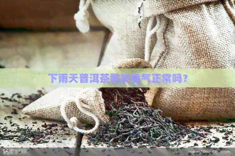 下雨天普洱茶散发香气正常吗？