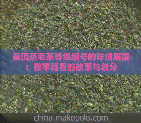 普洱茶毛茶等级编号的详细解读：数字背后的故事与划分