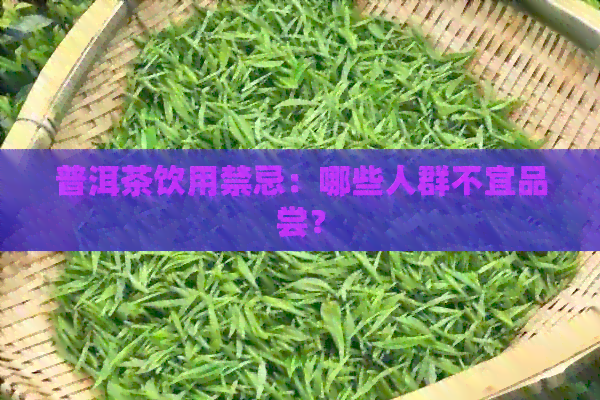 普洱茶饮用禁忌：哪些人群不宜品尝？