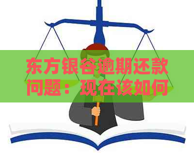 东方银谷逾期还款问题：现在该如何解决？