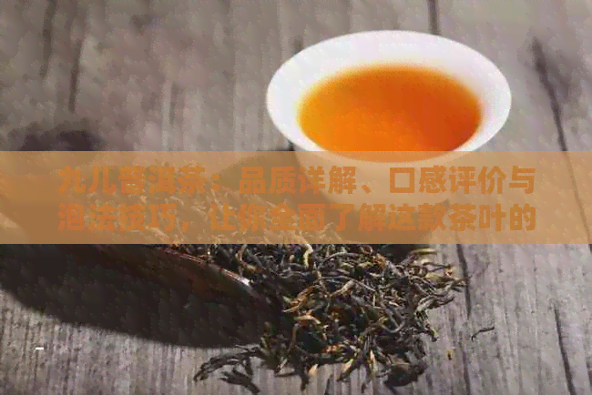 九儿普洱茶：品质详解、口感评价与泡法技巧，让你全面了解这款茶叶的魅力