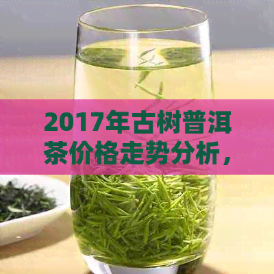 2017年古树普洱茶价格走势分析，全面了解市场行情与购买建议