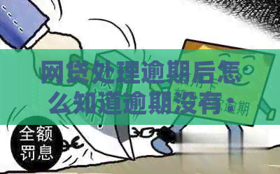 网贷处理逾期后怎么知道逾期没有：起诉与解决全攻略