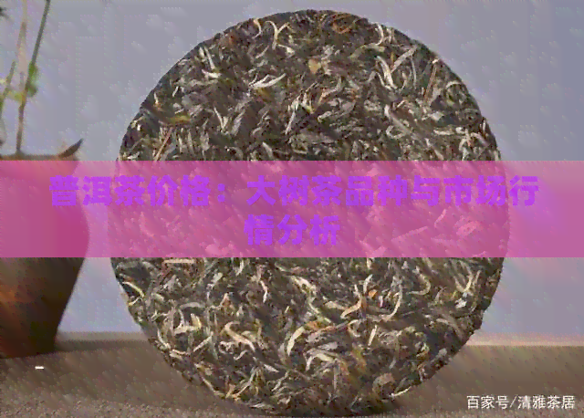 普洱茶价格：大树茶品种与市场行情分析