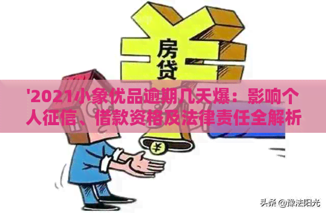 '2021小象优品逾期几天爆：影响个人、借款资格及法律责任全解析！'