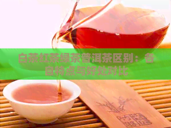 白茶红茶绿茶普洱茶区别：各自特点与好处对比