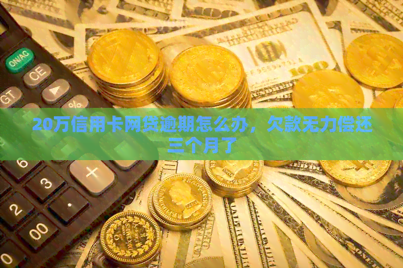 20万信用卡网贷逾期怎么办，欠款无力偿还三个月了