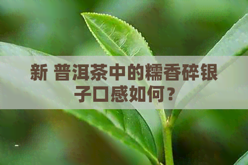 新 普洱茶中的糯香碎银子口感如何？