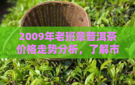 2009年老班章普洱茶价格走势分析，了解市场行情及价值参考