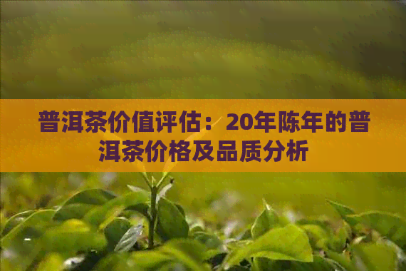 普洱茶价值评估：20年陈年的普洱茶价格及品质分析