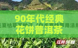 90年代经典花饼普洱茶：十大标杆中的无上佳品