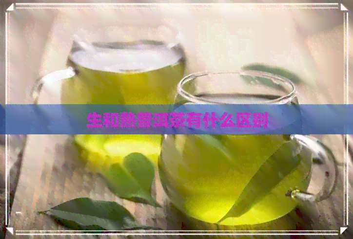 生和熟普洱茶有什么区别