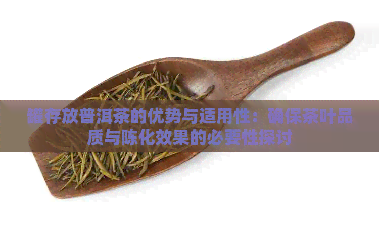 罐存放普洱茶的优势与适用性：确保茶叶品质与陈化效果的必要性探讨