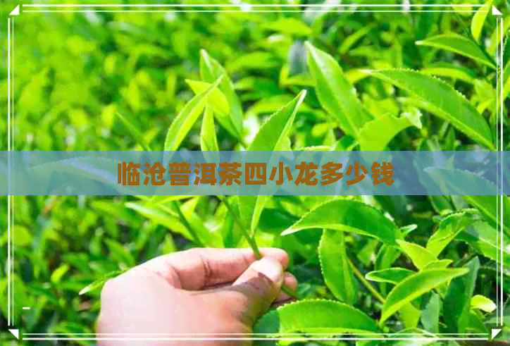 临沧普洱茶四小龙多少钱