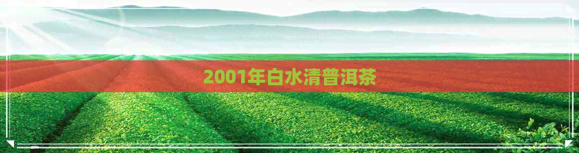 2001年白水清普洱茶