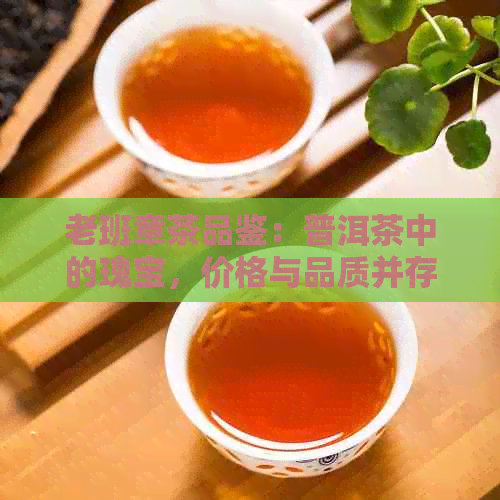 老班章茶品鉴：普洱茶中的瑰宝，价格与品质并存