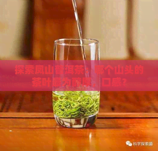 探索凤山普洱茶：哪个山头的茶叶最为醇厚，口感？