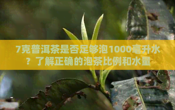 7克普洱茶是否足够泡1000毫升水？了解正确的泡茶比例和水量