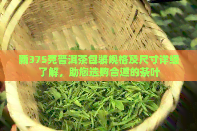 新375克普洱茶包装规格及尺寸详细了解，助您选购合适的茶叶