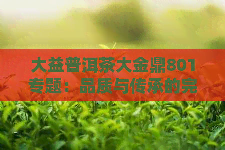 大益普洱茶大金鼎801专题：品质与传承的完美结合